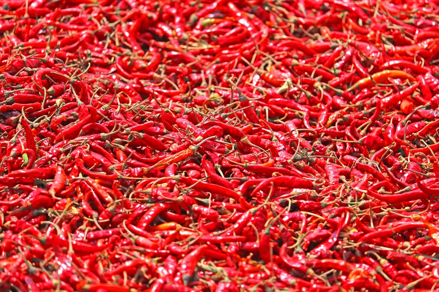 Chilli Pepper